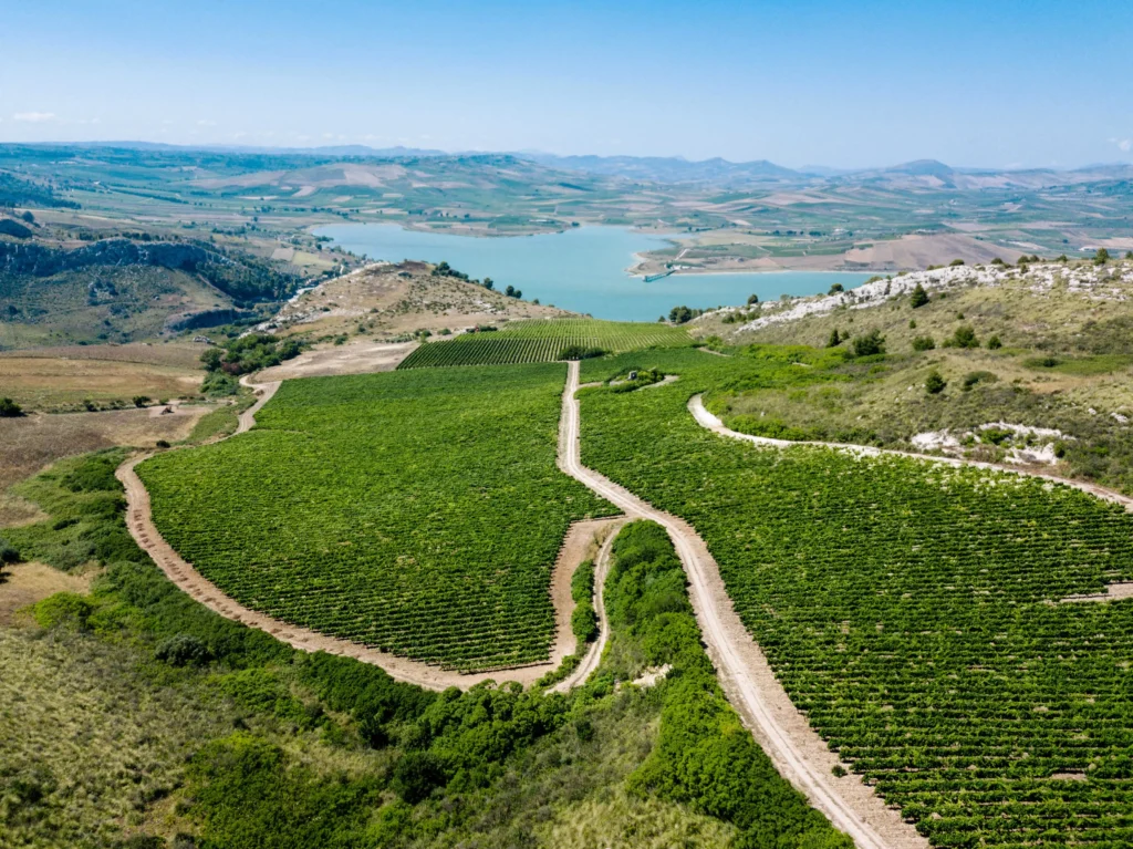 Sicily luxury yoga retreats aereal view of Ulmo in Sambuca, Sicily with the green hills and the lake place for the wine tasting